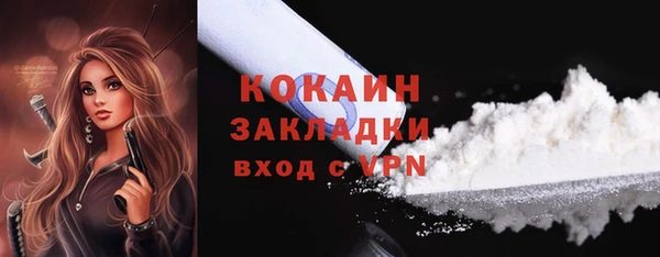 винт Лагань