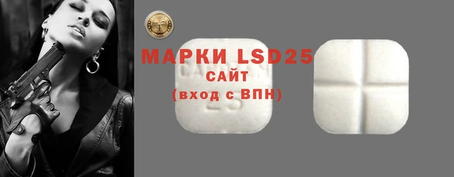 винт Лагань