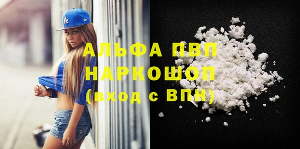 винт Лагань
